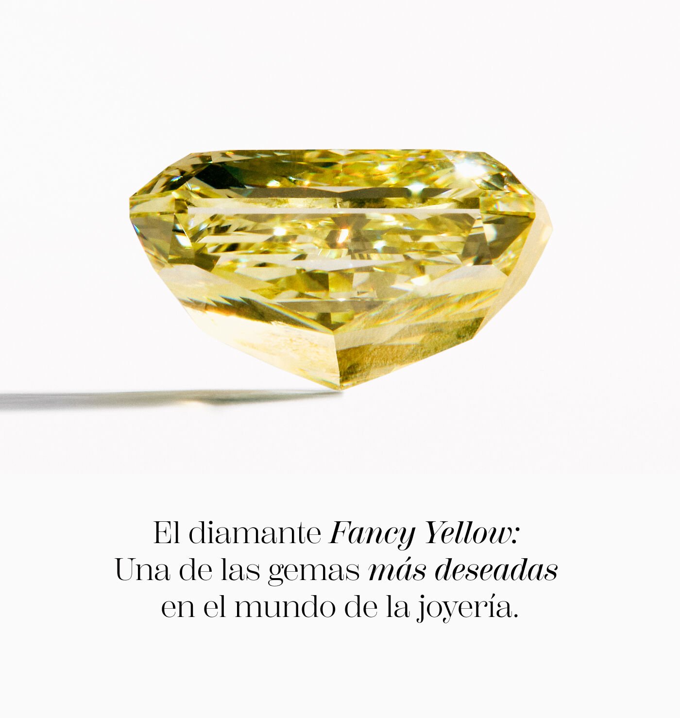 Yellow Fancy | Colección Fancy